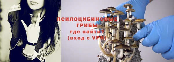 ешки Аркадак