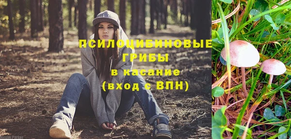 мет Арсеньев