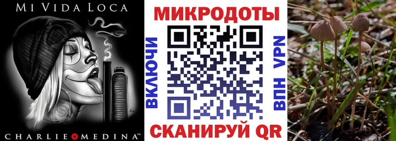Купить где  Данилов  Псилоцибиновые грибы Magic Shrooms 